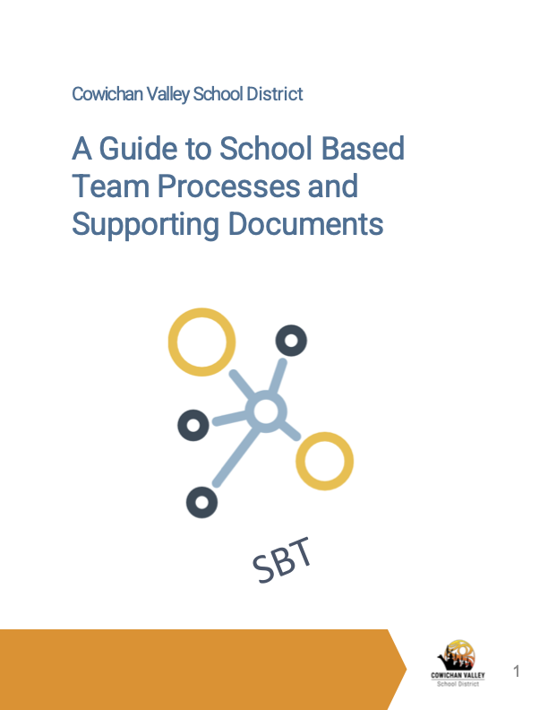 School Based Team Processes